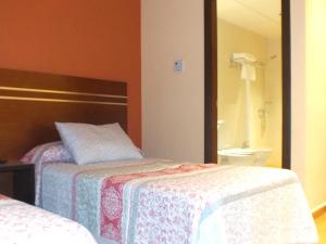 奥维多阿贝多乐斯汽车旅馆的一间卧室配有两张床和镜子