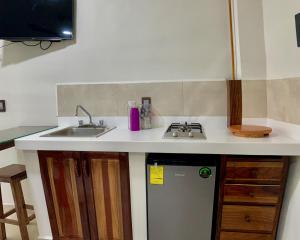 埃斯孔迪多港Lidxi Rosae的厨房柜台设有水槽和洗碗机。