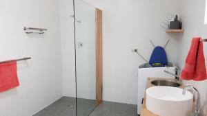 皮里港Red Ochre – Large 1BR with Private Courtyard的一间带水槽和玻璃淋浴的浴室
