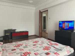 加拉茨Center Apartment的一间卧室配有一张床和一台平面电视