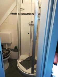青斯特Zur Alten Filmkiste的带淋浴的浴室和卫生间