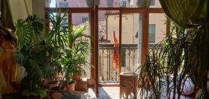 威尼斯Charming large palazzo in center Venice for up to 9 people的充满了许多盆栽植物的房间