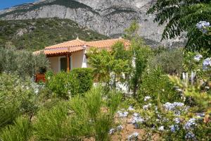 马拉松坎博斯Pleiades Samos的山地花园中的房屋