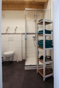 费马恩Hotel & Ferienunterkünfte Hus Seeblick的一间带卫生间的浴室和一个带毛巾的架子