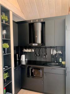 BigauņciemsHARMONY Design and Vacation House的厨房配有黑色柜台和水槽