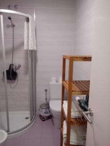 巴约讷卡萨美瑞尼若度假屋的带淋浴和卫生间的浴室