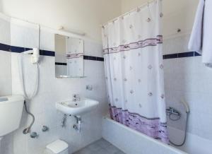 科扎尼阿尼西斯酒店的一间带水槽和淋浴帘的浴室