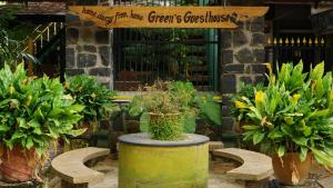 黎明之村Green's Guest House的花园里的盆栽植物和标志