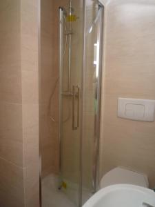 尼斯亚度尼斯公寓式酒店的带淋浴的浴室和卫生间