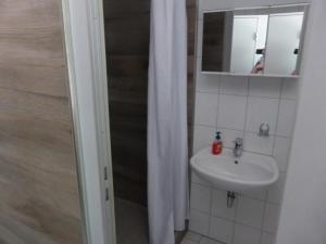 奥泊维森塔尔Pension und Gaststätte Naturbaude Eschenhof的一间带水槽、镜子和淋浴的浴室