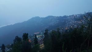 大吉岭Hotel Taktsang Darjeeling的享有小镇的山景