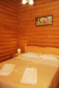 RostokaMonte Vista的木墙客房的两张床