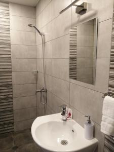 舒门La Piazza Hotel的一间带水槽和淋浴的浴室