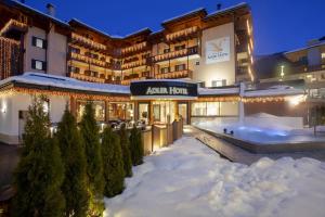 安达洛Adler Hotel Wellness & Spa - Andalo的夜间下雪的酒店