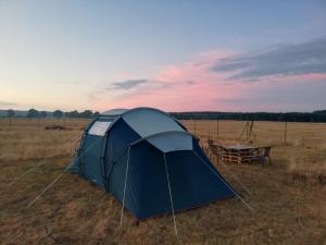 SławoborzePeace & Quiet的田野中间的蓝色帐篷