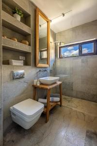 克卢日-纳波卡The Golfer Apartment with Jacuzzi的浴室配有卫生间、盥洗盆和淋浴。