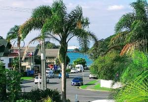 派西亚邦蒂汽车旅馆的街上的棕榈树,路上有汽车