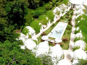 曼努埃尔安东尼奥Igloo Beach Lodge的享有花园的顶部景致,设有白色的圆顶
