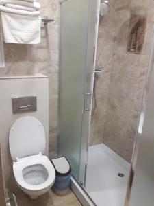 曼哲罗克曼泽洛公园酒店的一间带卫生间和淋浴的小浴室
