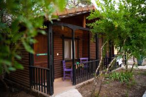奥林波斯考拉简易别墅旅馆的小木屋设有门廊和紫色椅子
