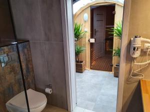 博尔斯克Podniebny Glamping的一间带卫生间和步入式淋浴间的浴室