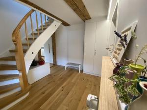 黑尔博尔茨海姆Traumhaft wohnen im Haus Blum的开放式客厅设有楼梯和植物