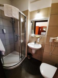 克拉科夫阿奈克斯卡兹米尔兹酒店的带淋浴、盥洗盆和卫生间的浴室
