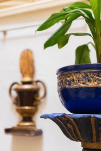 瓦莱塔Casa Rocca Piccola B&B的蓝花瓶坐在桌子上,与植物一起