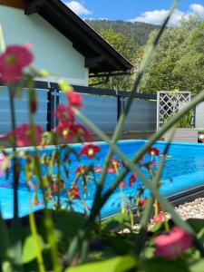 黑马戈尔Chalet 48的享有前方鲜花游泳池的景色