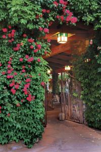 塞多纳El Portal Sedona Hotel的花园,玫瑰环绕着木门生长