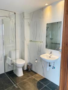 拉纳卡Lysithea Hotel的一间带水槽、卫生间和镜子的浴室