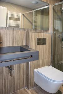 阿兰达德杜洛Aparthotel Essenzia de Castilla的一间带卫生间和水槽的浴室