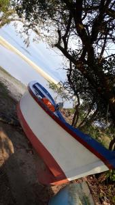 弗洛里亚诺波利斯Casa Chale 10 Florianópolis的坐在树旁的地面上的船