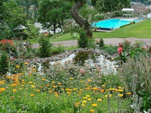 瓦尔德马什维克4 person holiday home in VALDEMARSVIK的花园设有鲜花池塘和游泳池