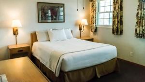 圣地亚哥The Beach Cottages的一间卧室配有一张带两盏灯的大型白色床。