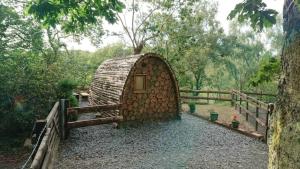 多尔盖罗Owl Hut Cosy Ensuite Pod Snowdonia Coast Sleeps 2的相册照片