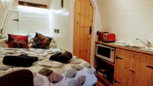 多尔盖罗Owl Hut Cosy Ensuite Pod Snowdonia Coast Sleeps 2的一间卧室配有带枕头的床