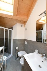 博尔米奥Ai Suma Residence的一间带卫生间和水槽的浴室