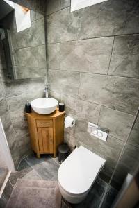普雷斯顿Alpaca Fold的一间带卫生间和水槽的浴室