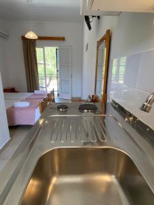 帕莱欧卡斯提撒阿讷蒙纳公寓式酒店的一间带不锈钢水槽的厨房和一间卧室