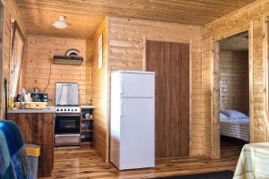 卡文斯基波托皮耶弗采Zacisze pod Laskiem的小木屋内带冰箱的厨房