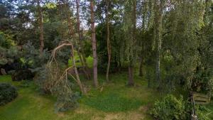 NowinaEkoturystyka Nowina的花园顶部树木的景色