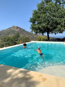 波利纳Casale Margherita Turismo Rurale的两人在树荫游泳池里