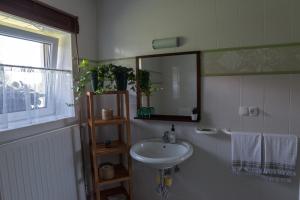 Hiša Antonija的一间浴室