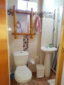 麦德林Apartamento Campestre Medellin的一间带卫生间和水槽的浴室