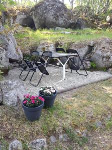 瑟德港Gårdshuset的野餐桌和两株盆栽植物