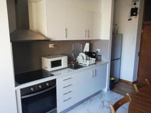 波尔图波尔图中心公寓的小厨房配有白色橱柜和微波炉