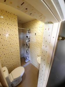 PabiržėEscape of city的一间带卫生间和淋浴的小浴室