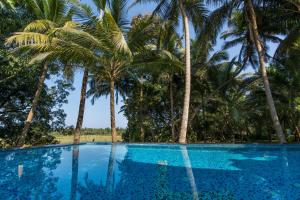 ROSASTAYS South Goa内部或周边的泳池