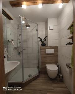 埃尔毛Berghof Apartment Bergwiese Top 31的带淋浴、卫生间和盥洗盆的浴室